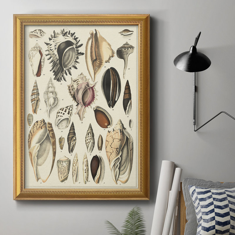 " Seashell Display ", 36" H x 24" W x 2.5" D