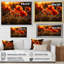 Coucher de soleil coquelicots dans la prairie-97057702-97057704