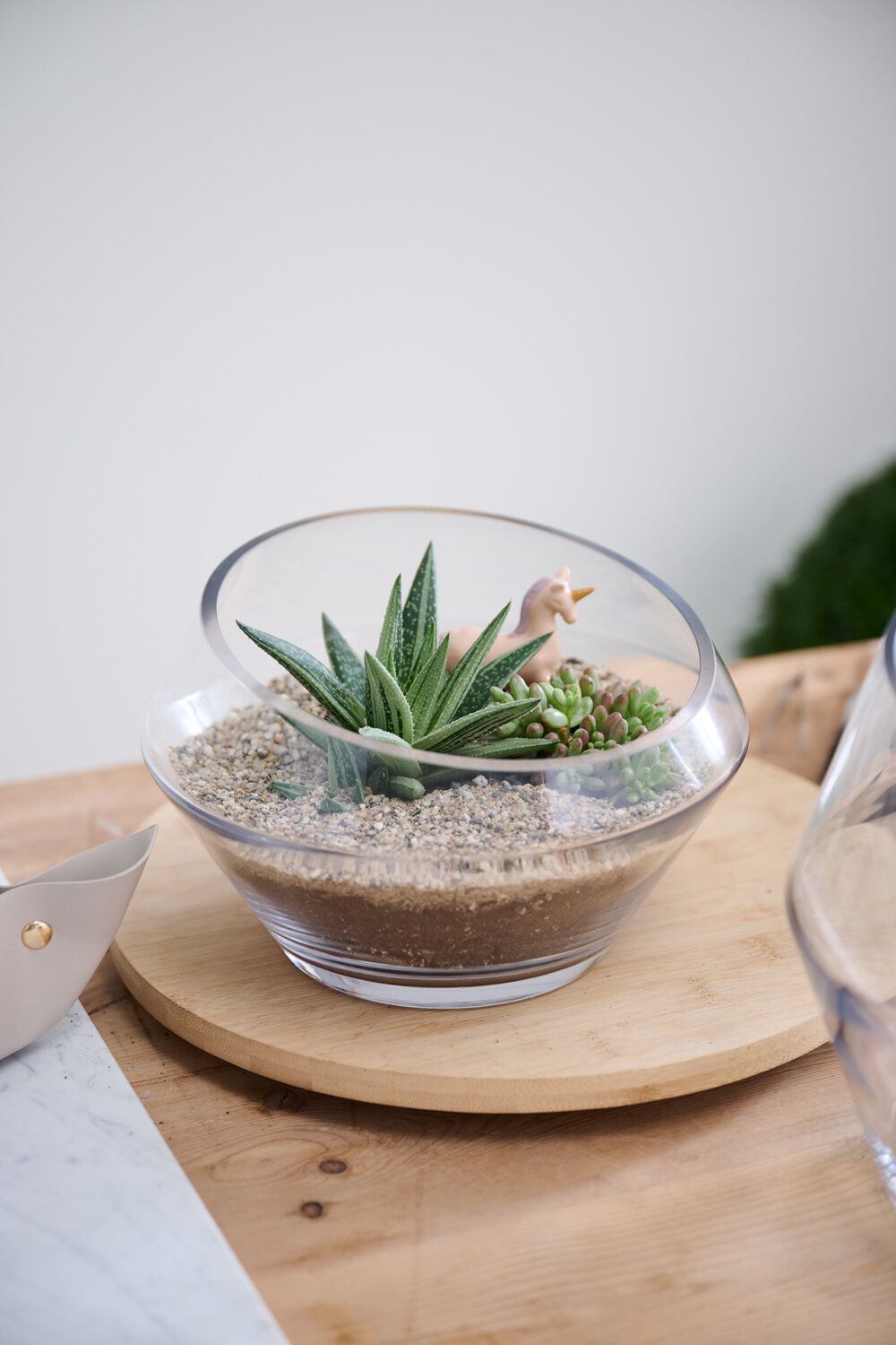 Dynamic Terrarium, 6" H x 9.25" W x 9.25" D