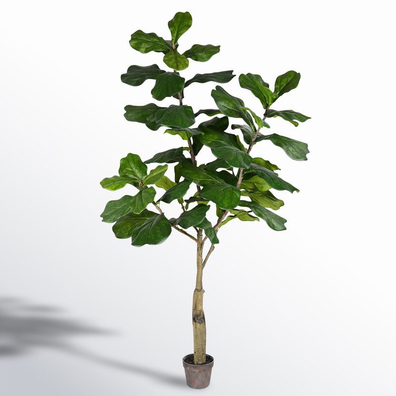 6-Foot Green Plastic Potted Fig Floor Plant