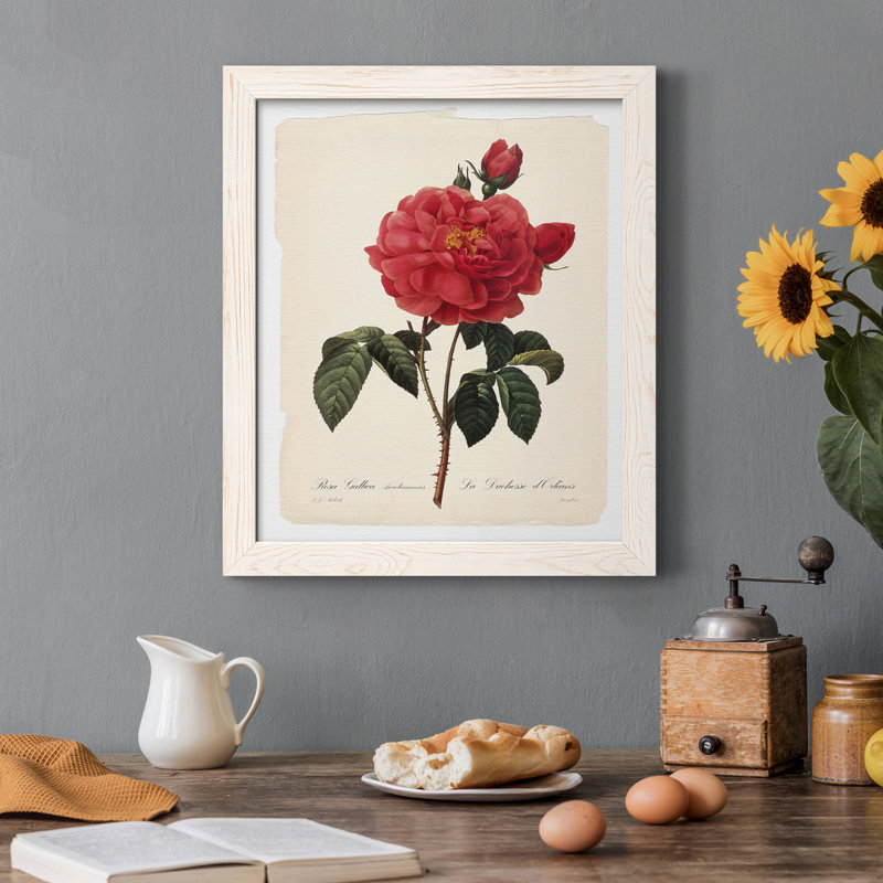Red Botanical III - cadre photo, impression sur toile, Toile à cadre blanc, H 37,5 po x l 27,5 po x P 1,5 po