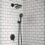 Pomme de douche Raindance S-122428064-98883511