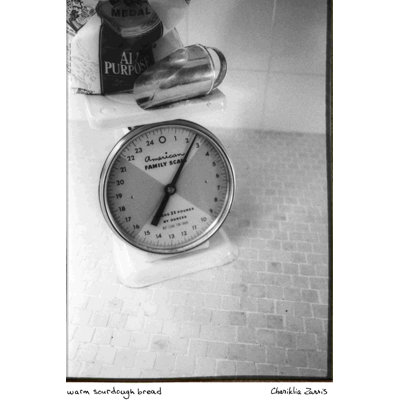 " Warm Sourdough Bread " by Chariklia Zarris