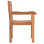 Catriona Outdoor Teak Dining Armchair