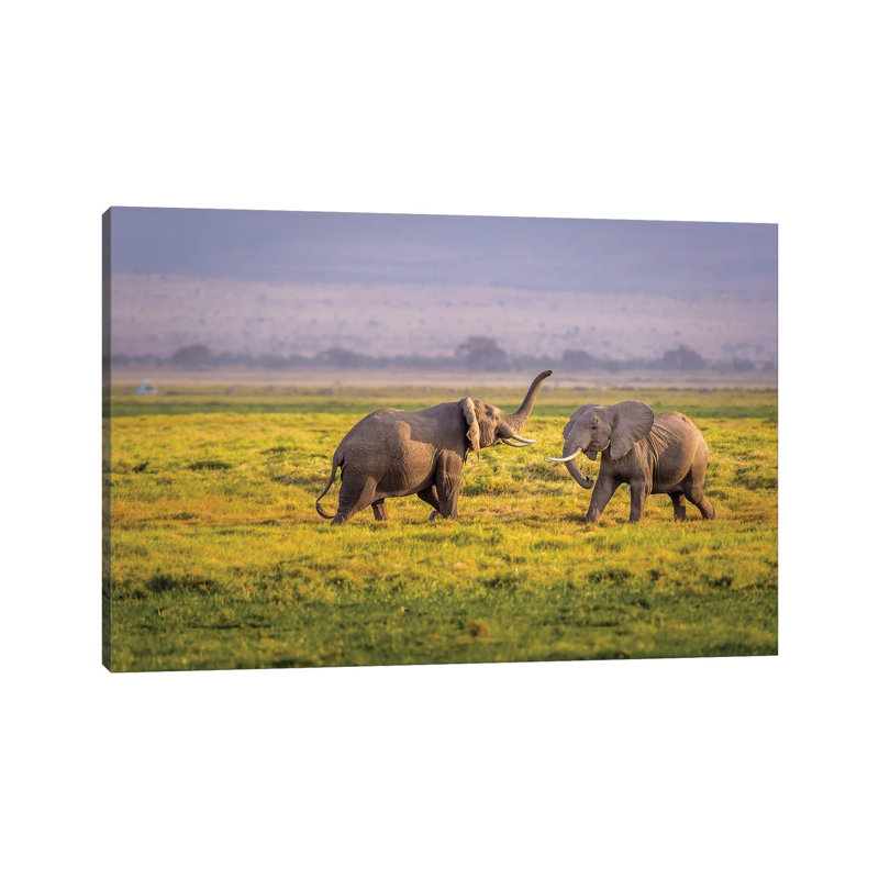 I'll Teach You 1 Piece Wrapped Canvas Wall Art, 66.04 cm H x 45.72 cm W x 3.175 cm D