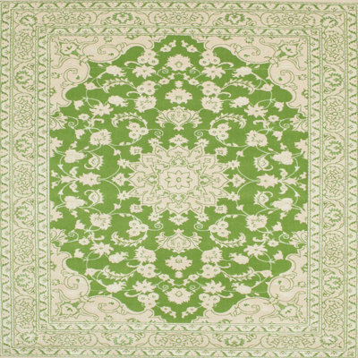 Durante Oriental Indoor Rug