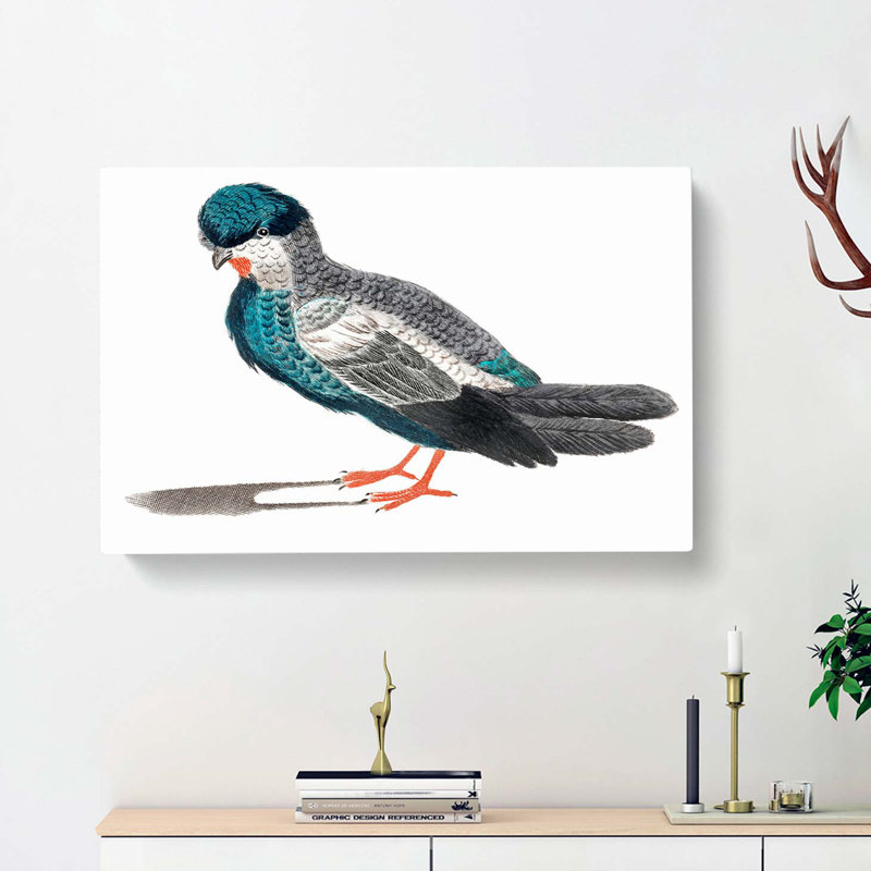 Pigeon by Johan Teyler - Wrapped Canvas, 40cm H x 60cm W x 3cm D
