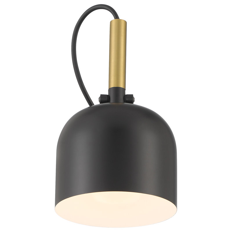 Raydyn Steel LED Armed Sconce, Matte Black