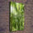 The Rainforest - Wrapped Canvas Print