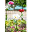 Grand magnolia de jardin