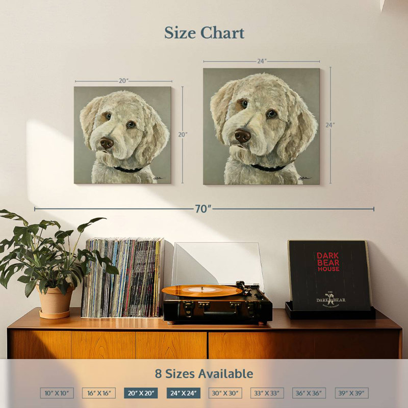 Bramend Goldendoodle sur fond gris, H 20 po x l 20 po