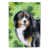 Black Bernese Mountain