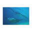 No Frame Print on Canvas-169169483