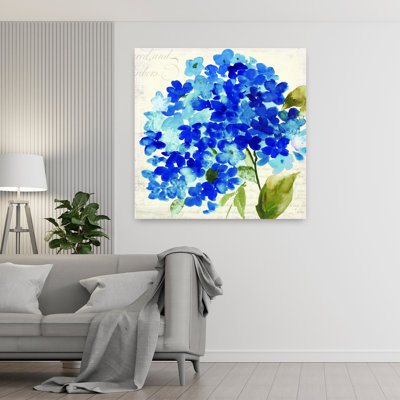 Hampton Hydrangea II, délicat hortensia biologique élégant, art floral naturel