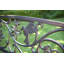 Beaucaire Hummingbird Steel Traditional Bench