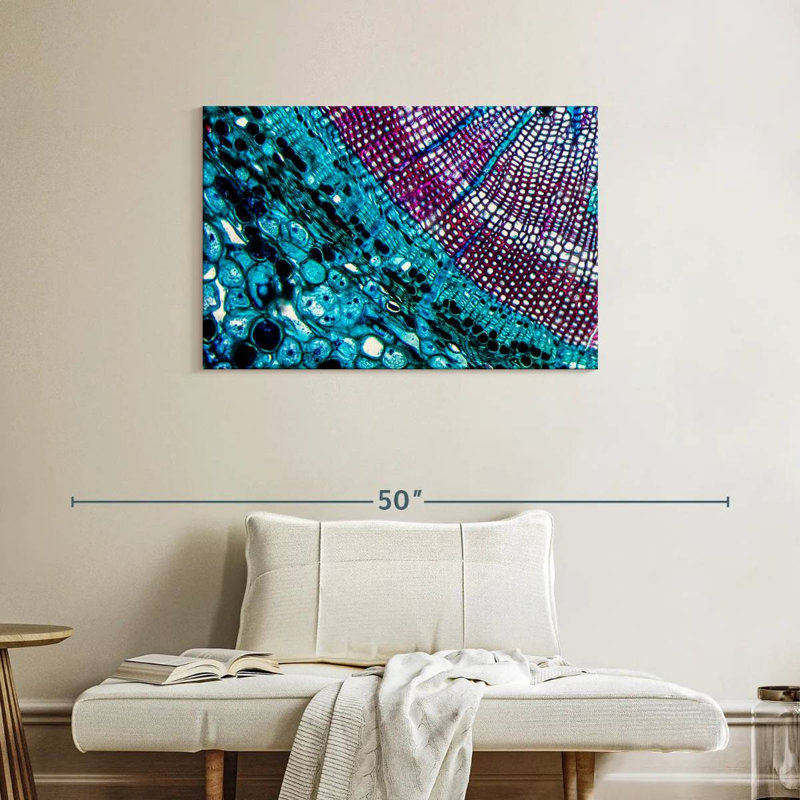 Keiri Pine Stem Under Microscope, 24" H x 36" W