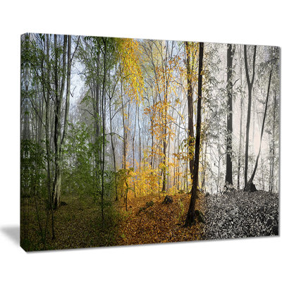 «Forest in Early Morning», reproduction de photo sur toile tendue