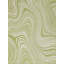 Tapis intérieur / extérieur vert Brodus-712332319