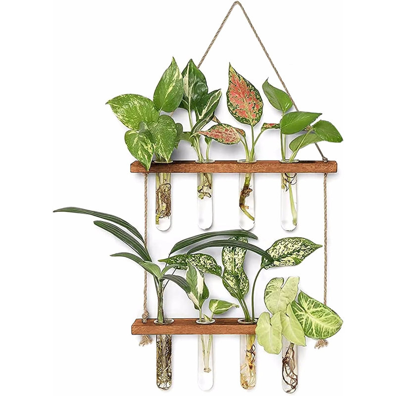 Premium Wall Hanging Terrarium Planter With Wooden Stand