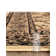Hanan Floral Area Rug