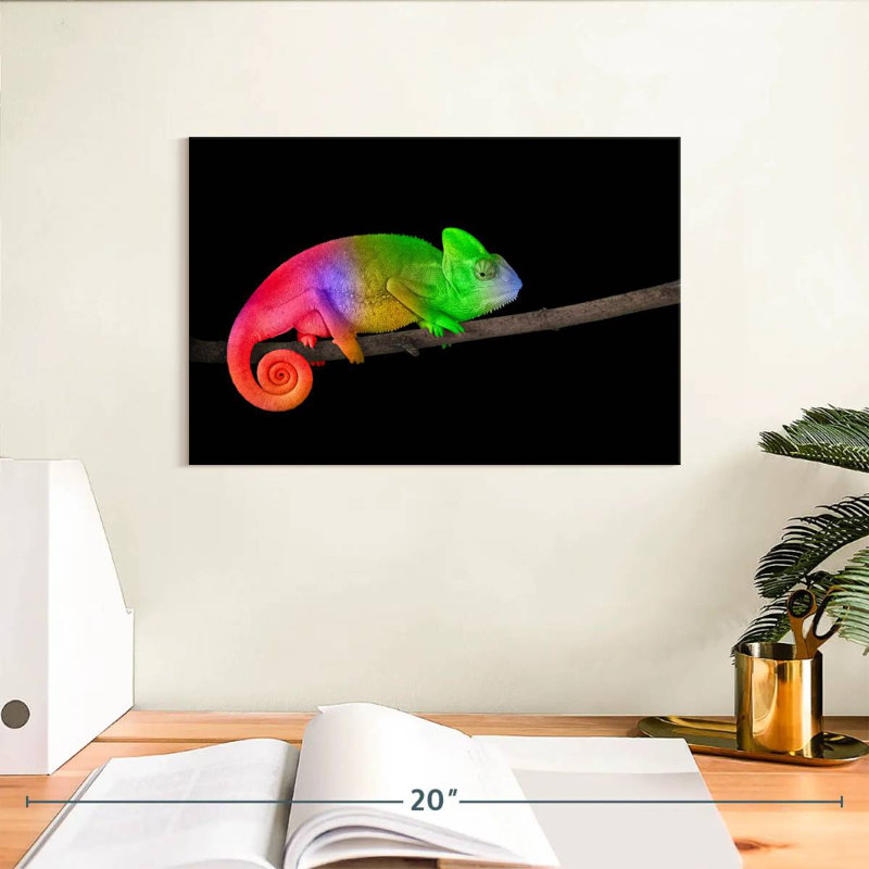 Brampt Rainbow Chameleon, 8" H x 12" W