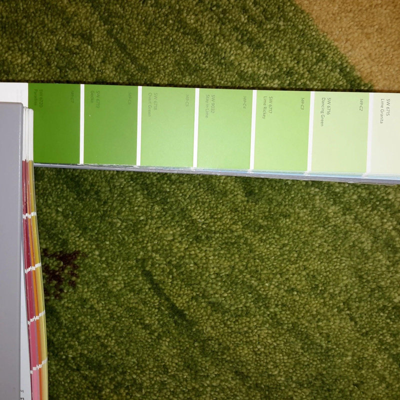 Onisha Cotton Area Rug in Multicolor Green