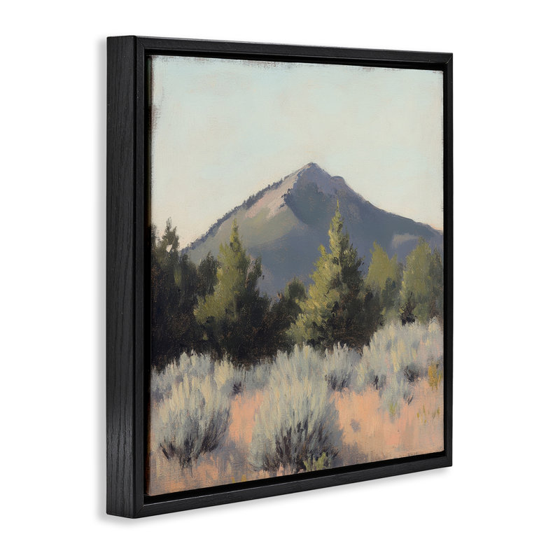 Cadre flottant paysage de montagne Tucson, design par Petal Prints Design, Cadre flottant noir de jais, H 18 po x l 18 po