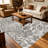 Leopard Print Grey   area rugs for Living Room, Soft and Comfortable, Suitable for all seasons, easy to maintain, machine washable Indoor floor mat, Under Table Farmhouse suitable for Bedroom, Dining Room, Study,  Balcony, Home Decor Patio-1241497255