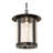 Atanaska 1 - Light Craftsman Brown Lantern Pendant