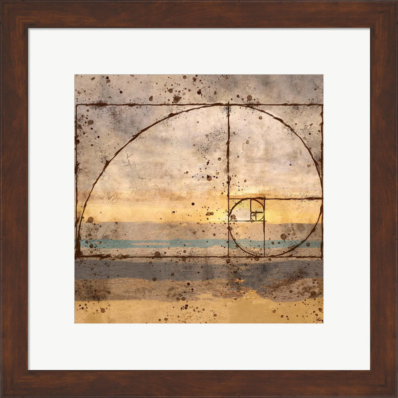 " Fibonacci Shell " by Marta Wiley
