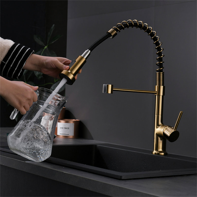 Robinet de cuisine avec douchette rétractable, robinet d'évier de cuisine à poignée simple, Or/noir