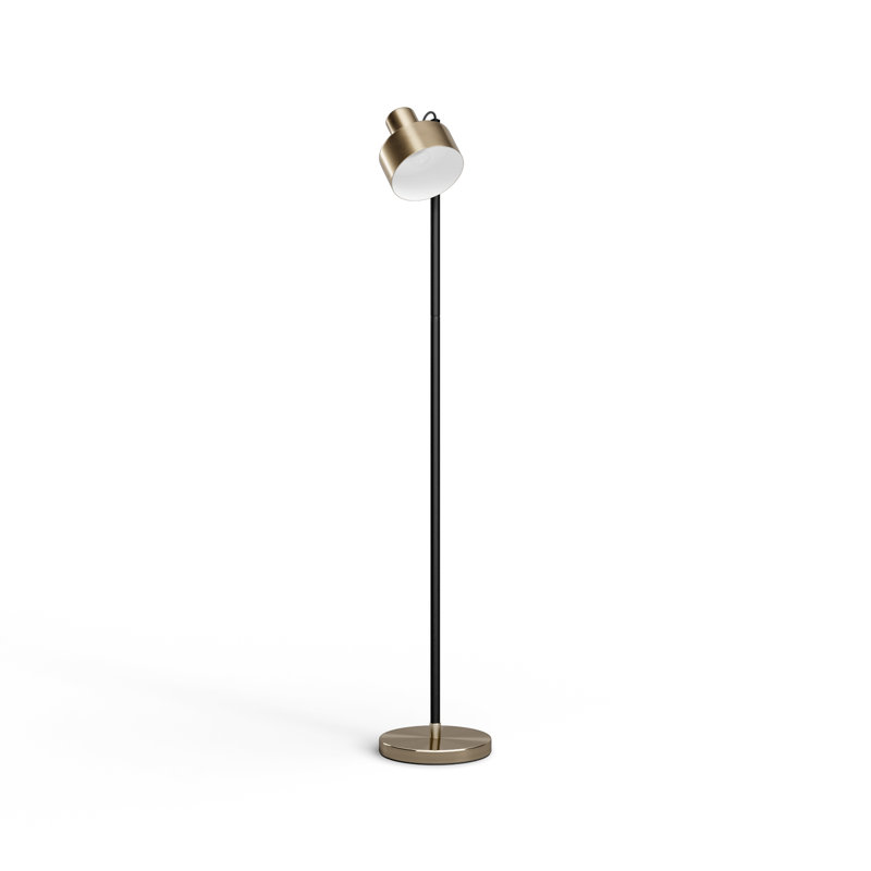 Hayden 56 " Task Floor Lamp