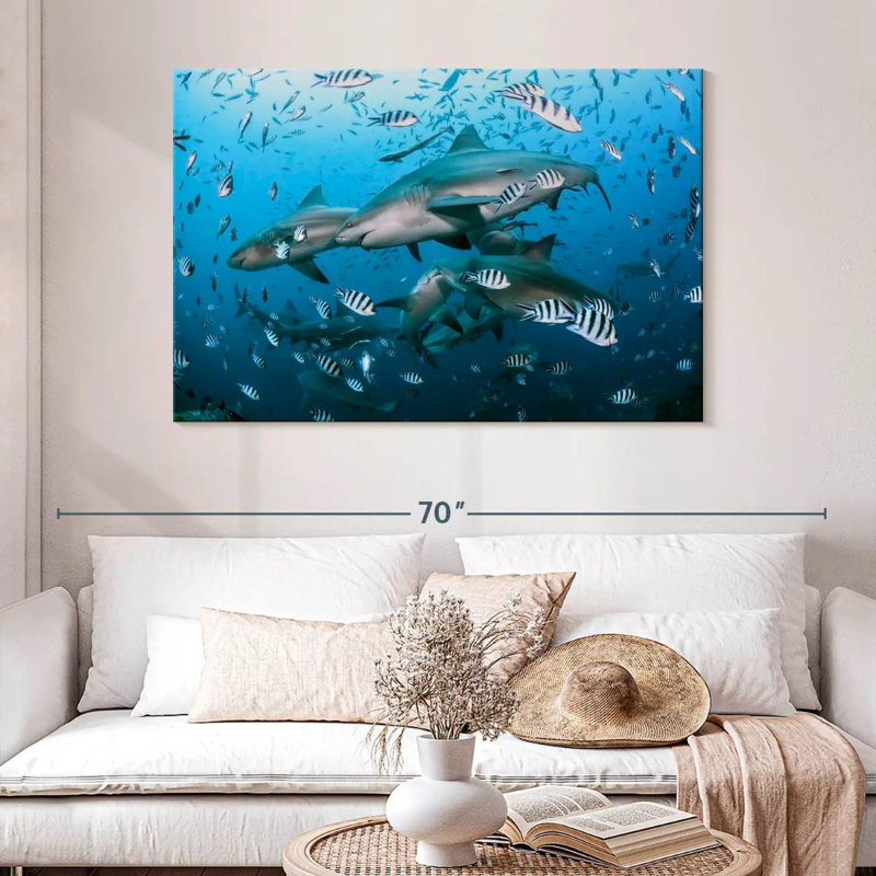 Aletra Beqa Lagoon Sharks, 32" H x 48" W
