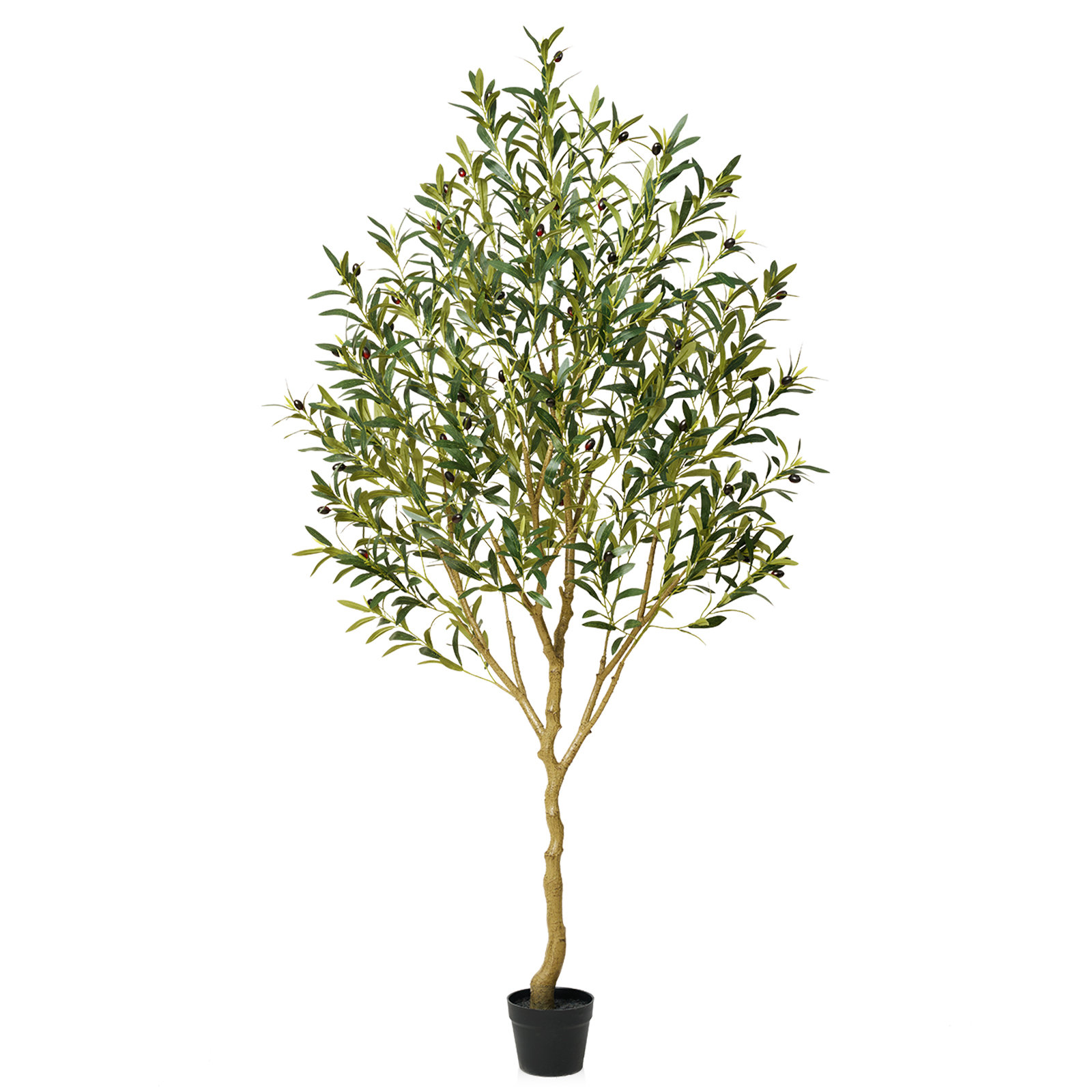 Adcock 72" Olive Tree in Pot, 72" H x 5.50" W x 24" D