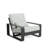 Outdoor And Indoor Aluminum Lounge Chair, Black Finished Frame With Grey Cushion, Set Of 2-261790468