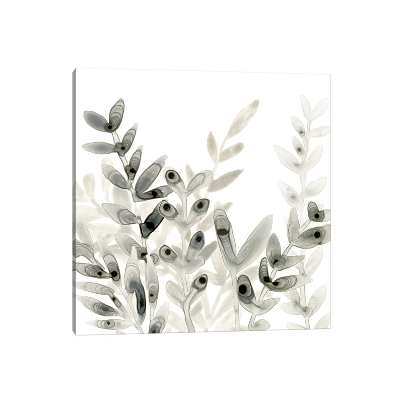 Watermark Foliage III 1 Piece Wrapped Canvas Painting, 45.72 cm H x 45.72 cm W x 3.175 cm D
