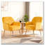 Fauteuil d'appoint en velours, chaises de salon rembourrées modernes-1996559151