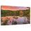 Adella Sunset At Kinkaku-Ji Temple