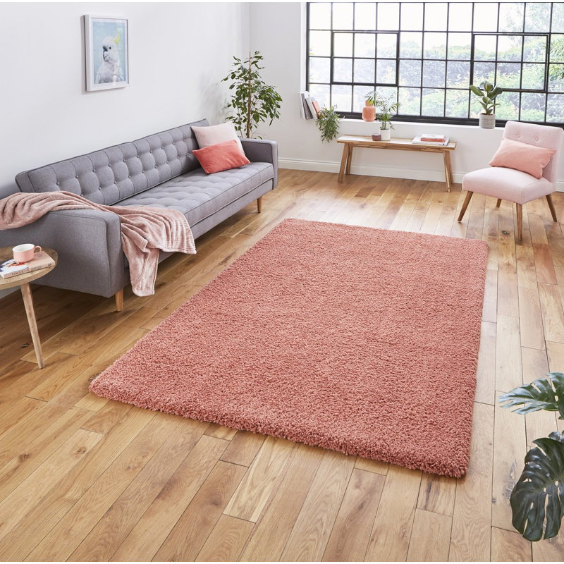 Mifflintown area rug Machine Woven Rectangle Peach, Rectangle 120 x 170cm
