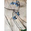 Arrosage artificiel bleuet sauvage