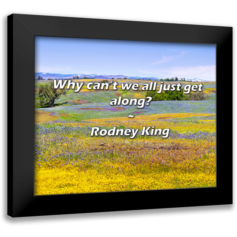 Rodney King Citation: Pourquoi ne pouvons-nous pas nous entendre?