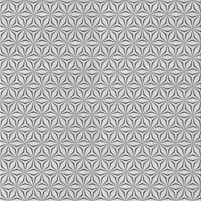 Indoor Rug