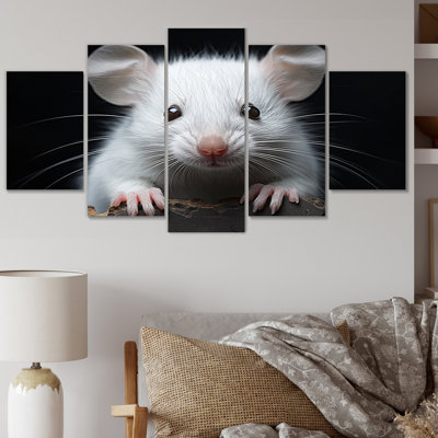 Petits rongeurs blancs - Art mural sur toile animaux - 5 panneaux