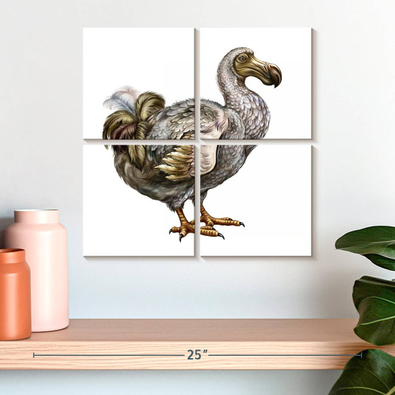 Brampt Dodo, H 18 po x l 18 po