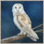 Elegance Of The Night Print by Jacob Lincoln-248063984