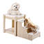 Pet Bunk Bed with Stairs Dog/Cat Window Perch Sleeper Couch Medium Size-1172764149