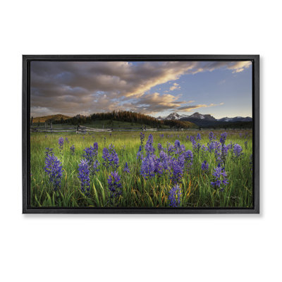  Toile flottante lavande Bloom Meadows par Alan Majchrowicz