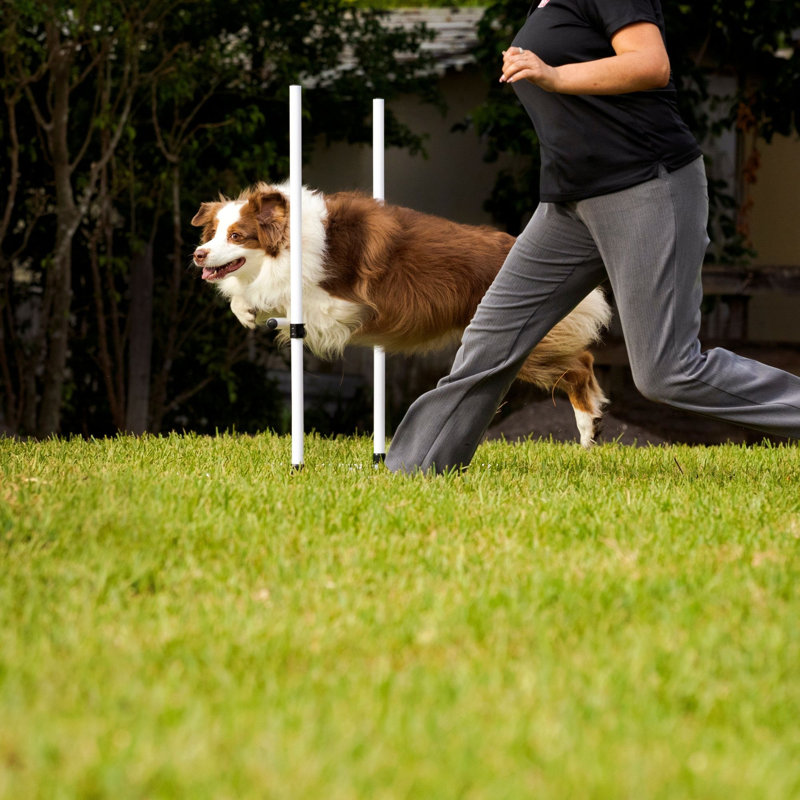38'' H Panel Plastic Dog Agility