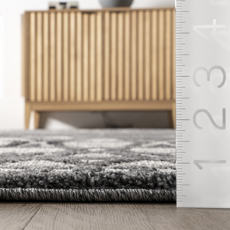 Jolan Moroccan Lattice Area Rug, Rectangle 4' x 6'