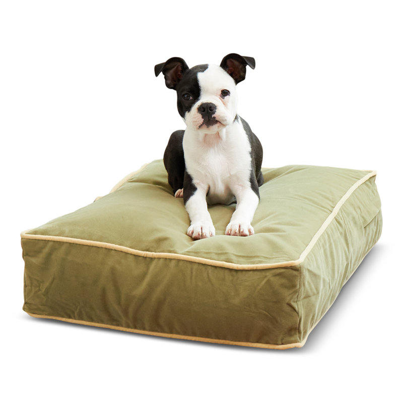 Lit pour chien Olivarez Classic, Très petit (L 24 po x l 18 po x H 5 po), Moss